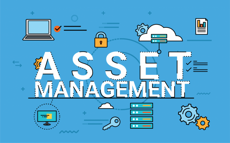 IT Asset Management Software